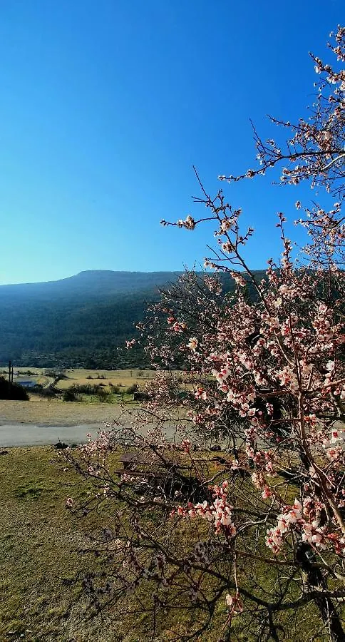 Auberge Collective Cozy&Family La Palud-sur-Verdon Frankrig